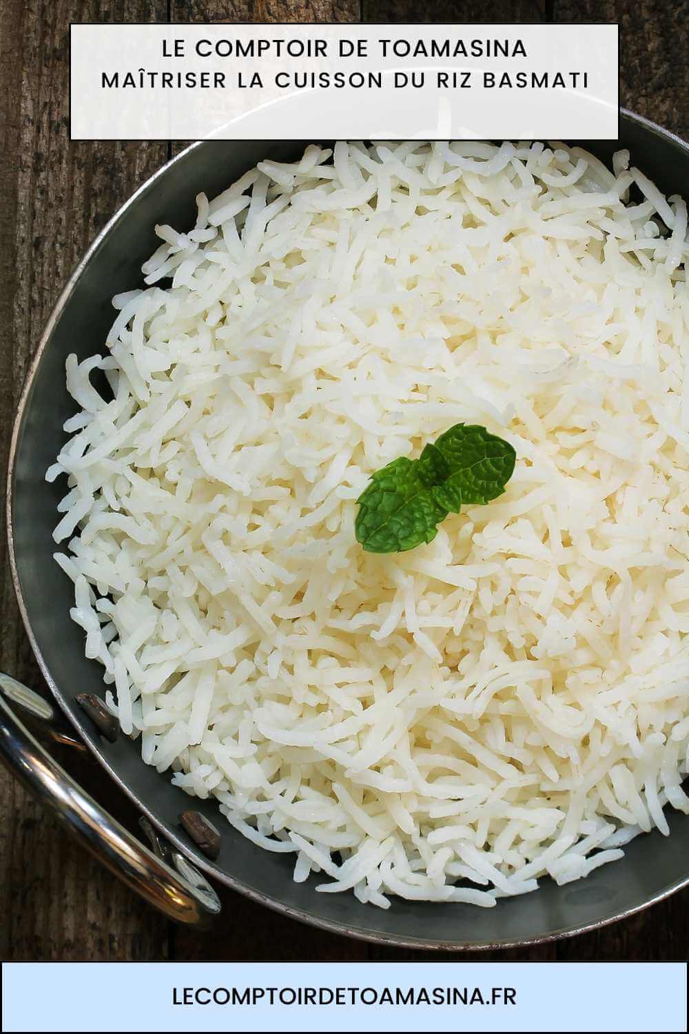 riz safron